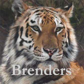 Carl Brenders